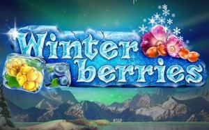 Winterberries